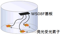WS08F組み込み例